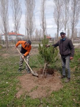 Daha Yeşil Bir Altınyayla İçin.. 🍀🌲🌴