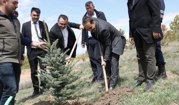 İlçemizde Fidan Dikimi Etkinliği.